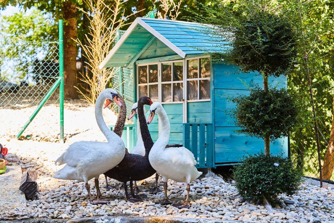 Quinta Do Lordelo Turismo Rural Penafiel Kültér fotó