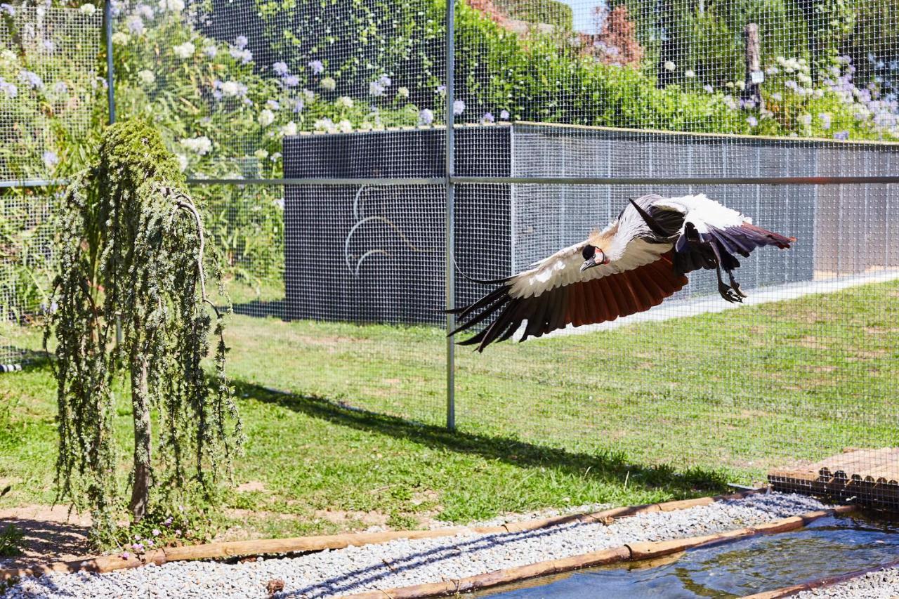 Quinta Do Lordelo Turismo Rural Penafiel Kültér fotó